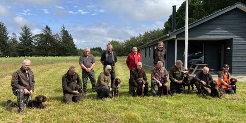 Langhårsklubbens Schweissprøve i Vestjylland d. 09.08.2024